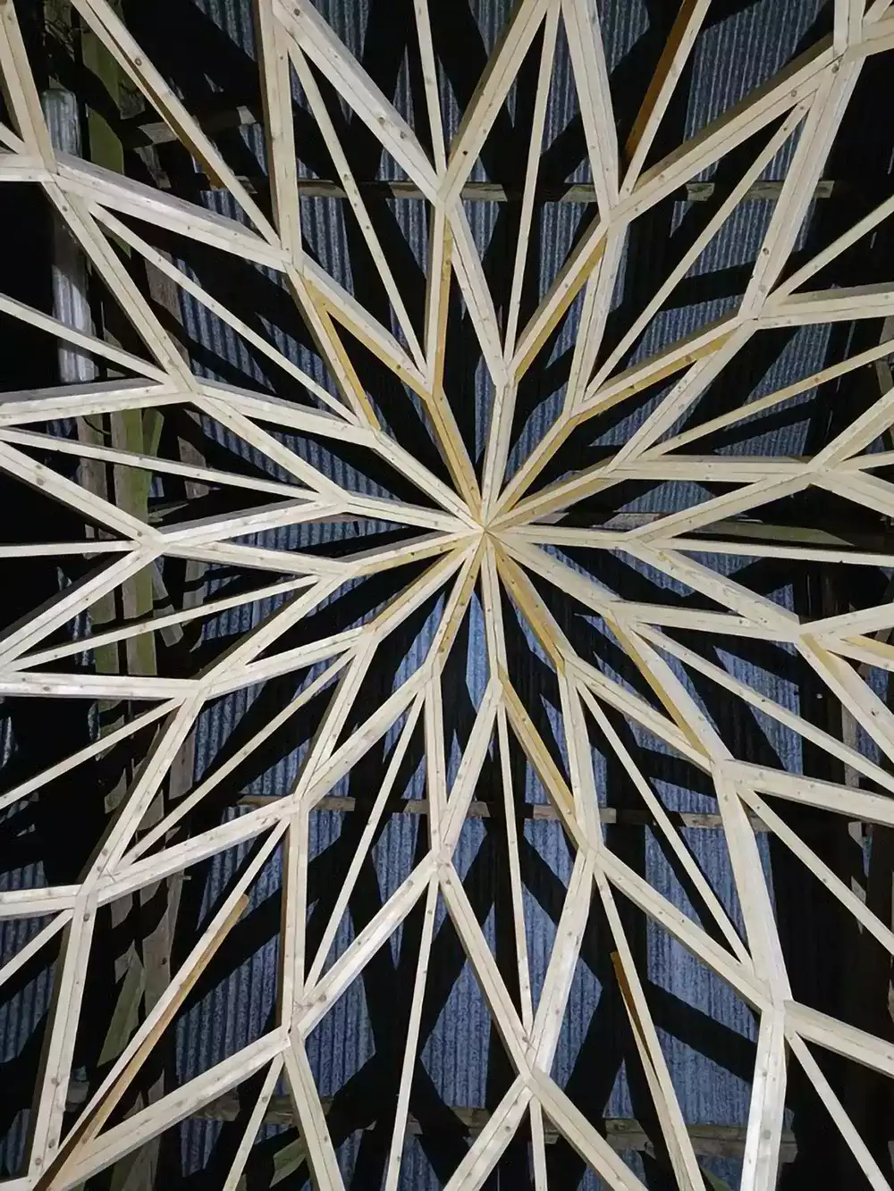 Structure de dôme en bois de type zome